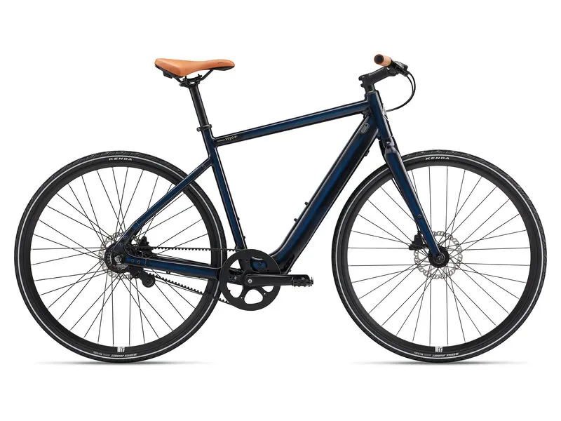 Singlespeed e bike sale
